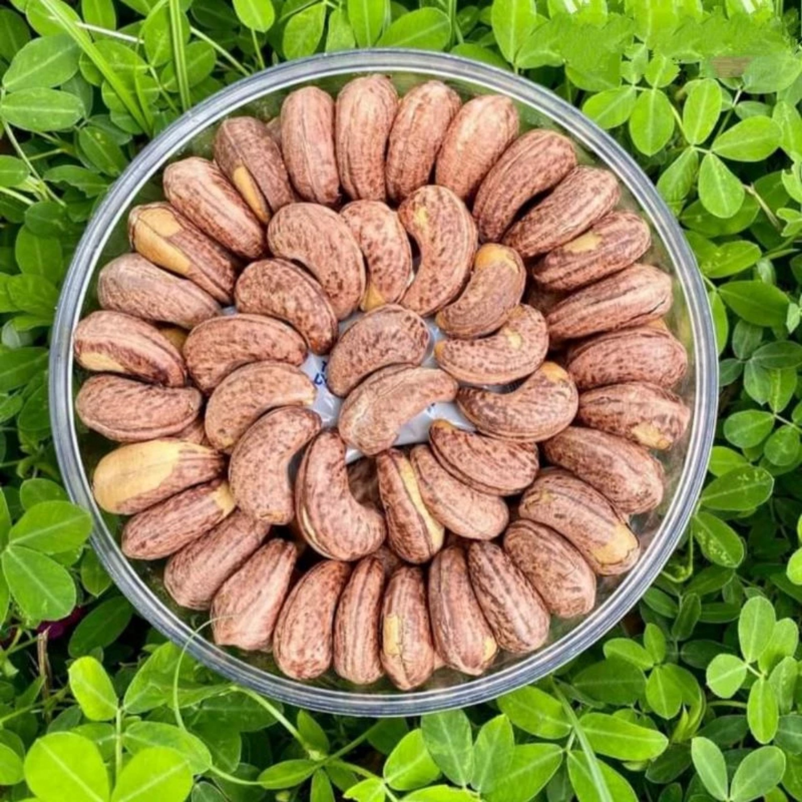 Hạt điều Rang Muối Loại A+ Chuyên Biếu Tặng 500gr – Pg Bag