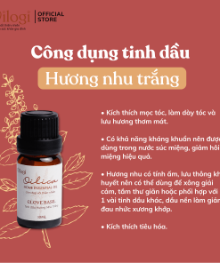 Tinh dầu hương nhu trắng- Clove basil oil