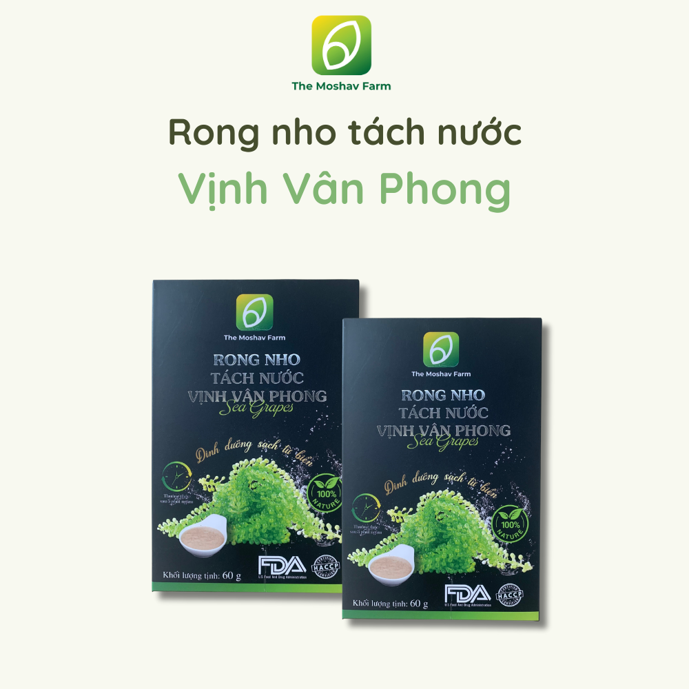 Rong nho tách nước Vịnh Vân Phong