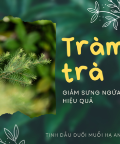 Tinh dầu đuổi muỗi Hạ An