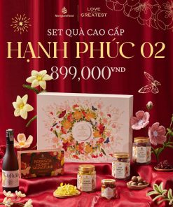 Quà Tết 2025 – Tết Hạnh Phúc 02 (kèm túi )