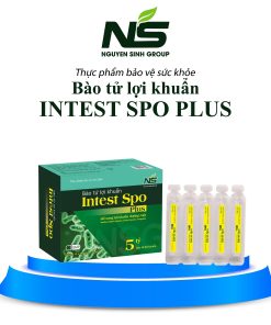 Thực phẩm bảo vệ sức khoẻ Bào tử lợi khuẩn Intest Spo Plus