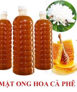 1 Lit Mật Ong Hoa Cà Phê Nguyên Chất – đặc Sản Tây Nguyên – Minh Ngọc