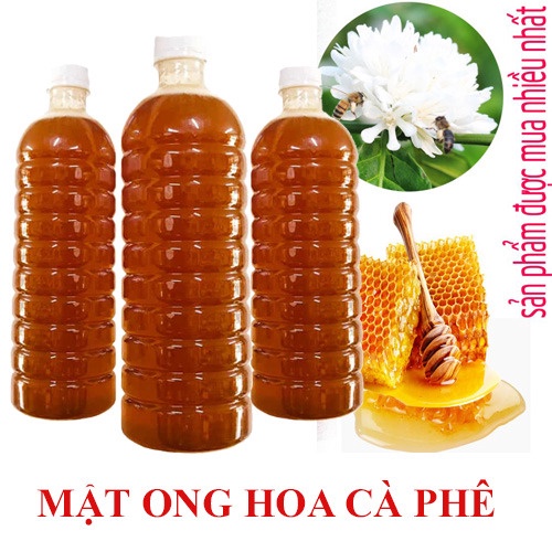 1 Lit Mật Ong Hoa Cà Phê Nguyên Chất – đặc Sản Tây Nguyên – Minh Ngọc